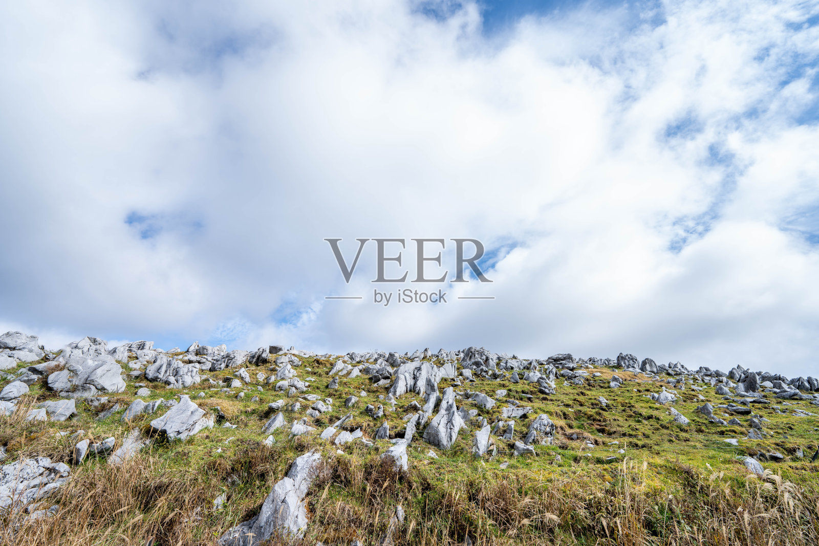 四国Karusuto照片摄影图片