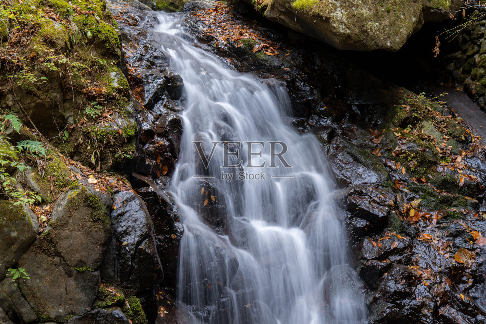 Shiraino瀑布照片摄影图片