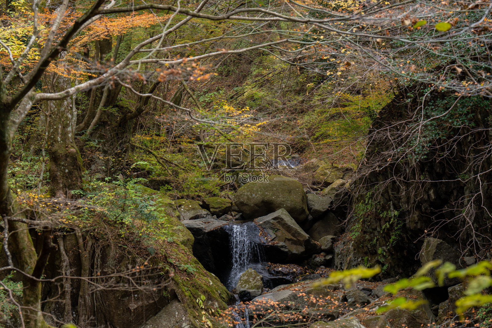 Shiraino瀑布照片摄影图片