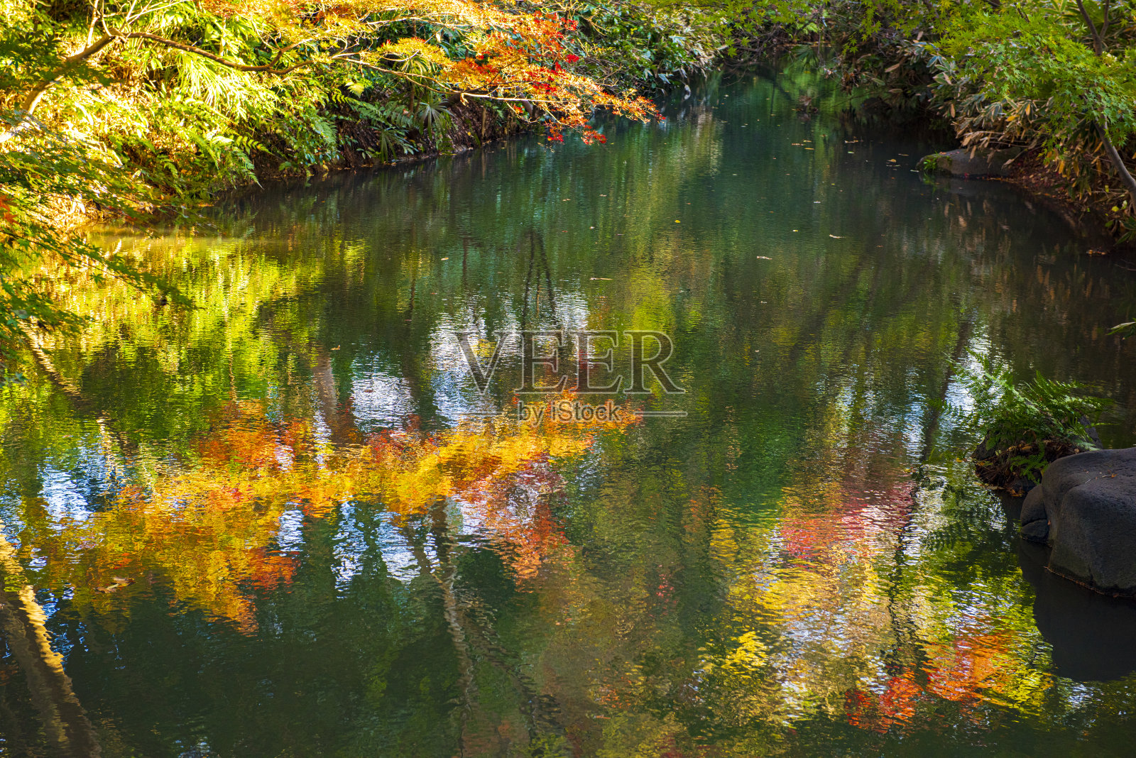 rikugi花园照片摄影图片