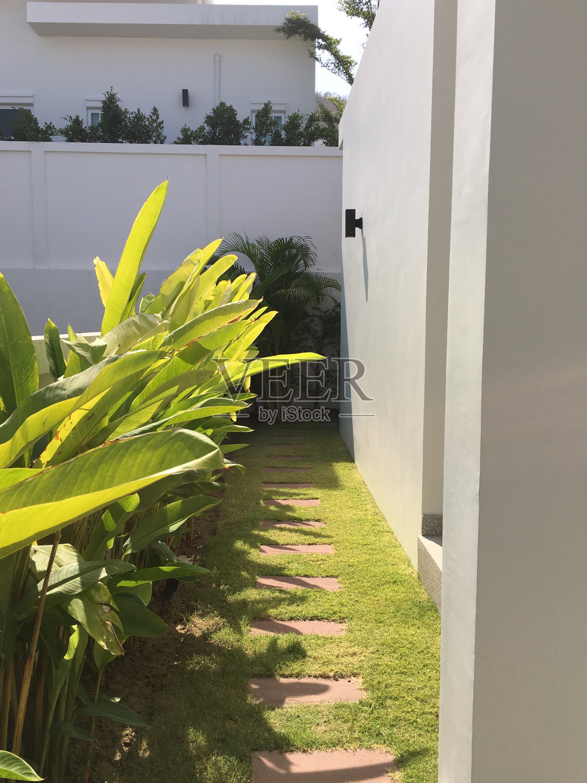 房子的后面照片摄影图片