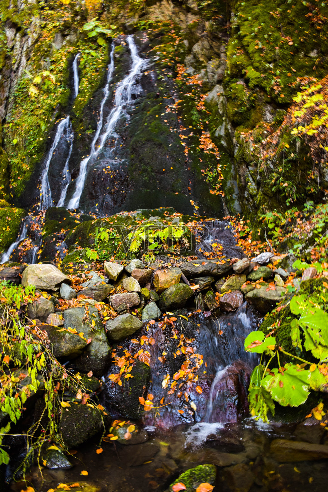 马其顿维尼察附近的森林里的祖德夫斯基瀑布照片摄影图片
