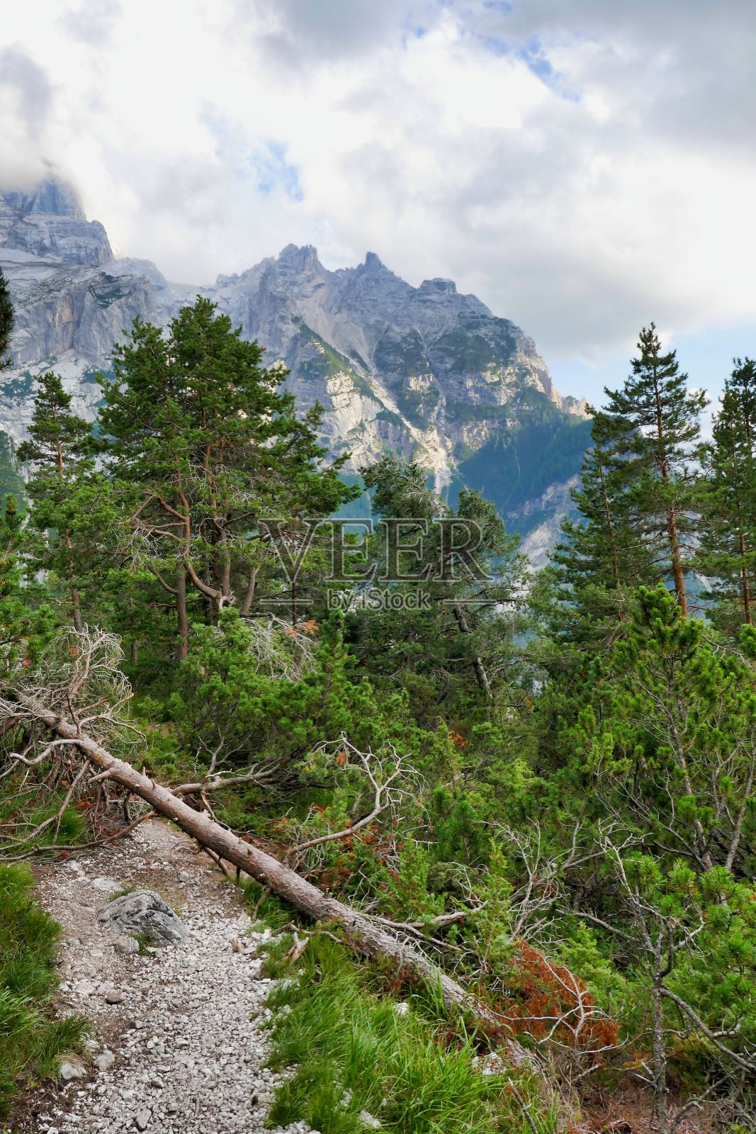 云在山上，照片为背景，照片为背景，在白云石山脉，秋天在意大利照片摄影图片