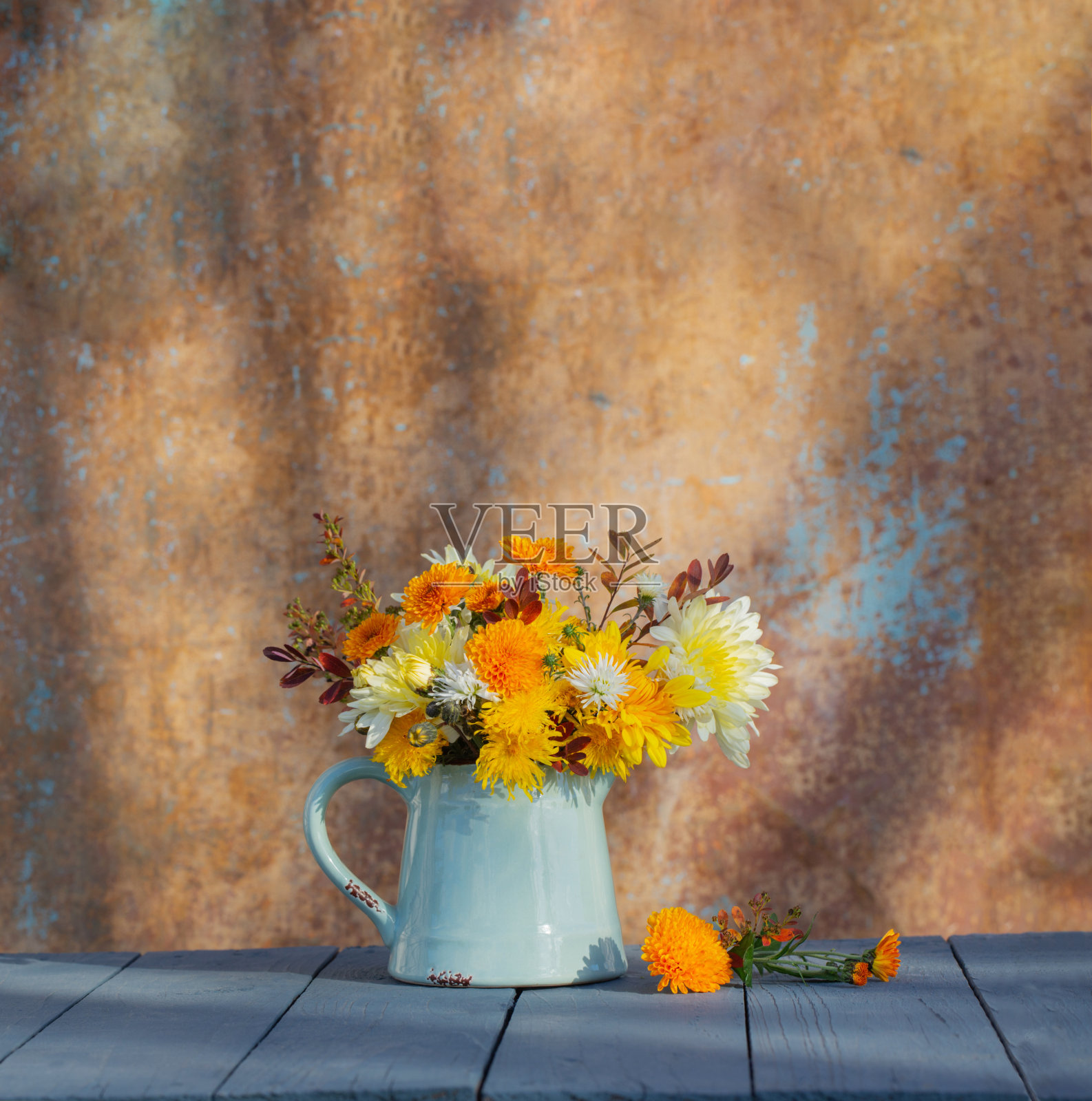 在阳光下，旧墙上的菊花在罐子里照片摄影图片