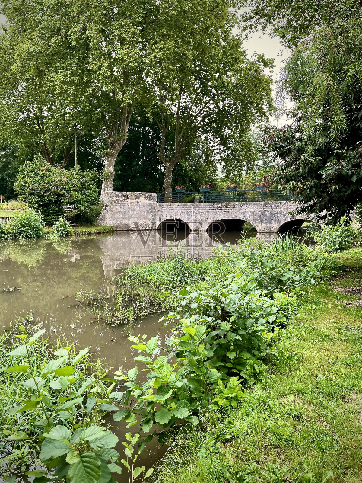 桥与河照片摄影图片