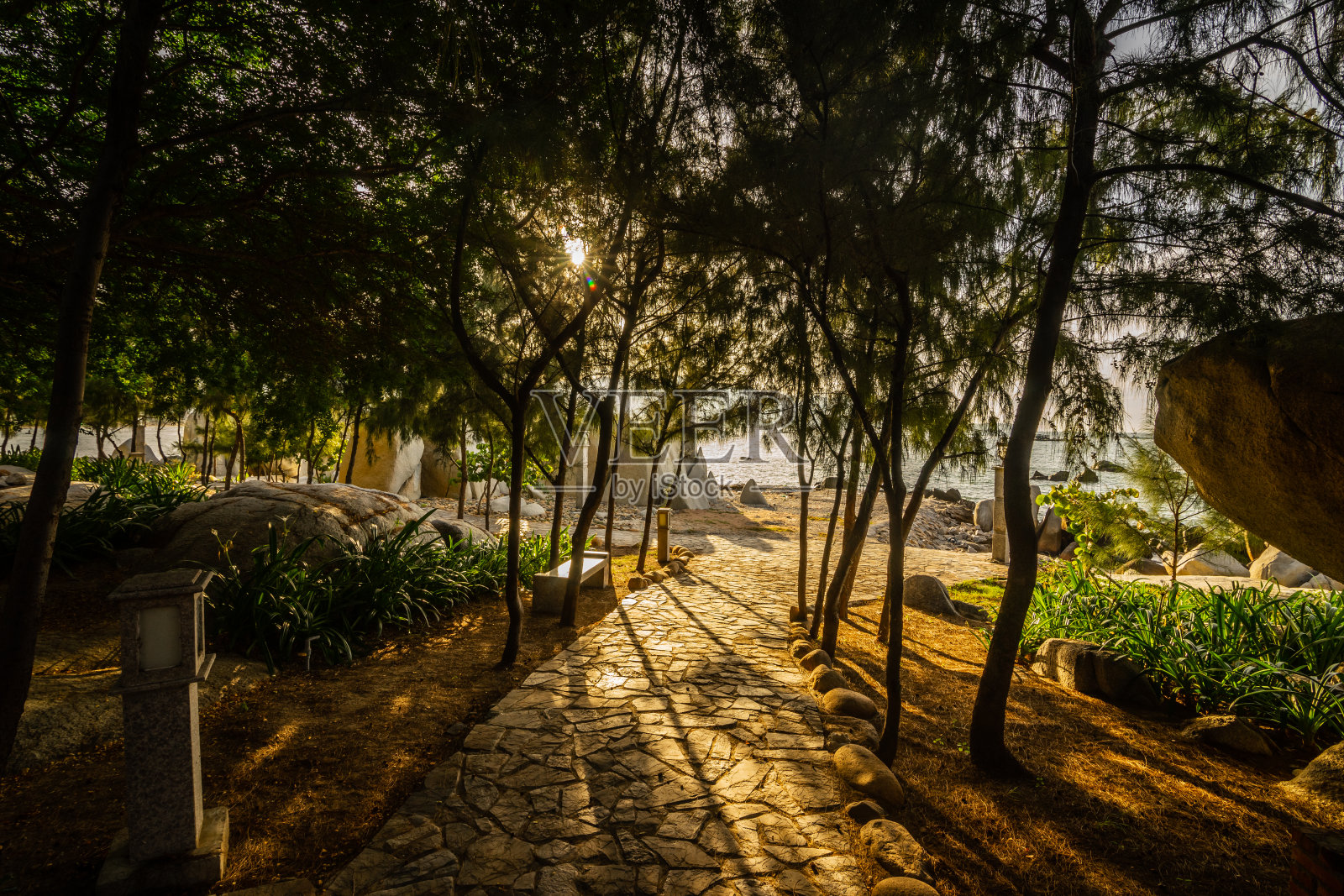 宁顺，延岛，宁顺旅游区内的小路和成排的树木照片摄影图片