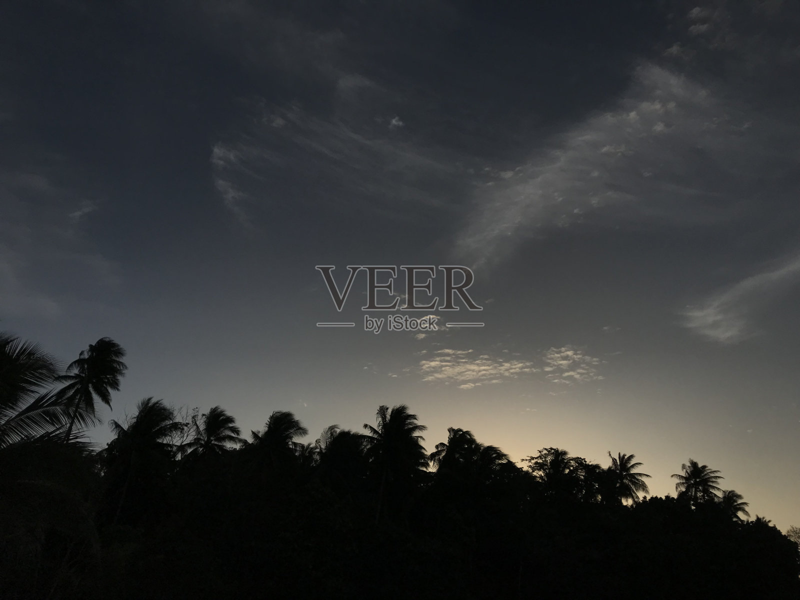 下午的气氛在椰树上勾勒出黑色的剪影照片摄影图片