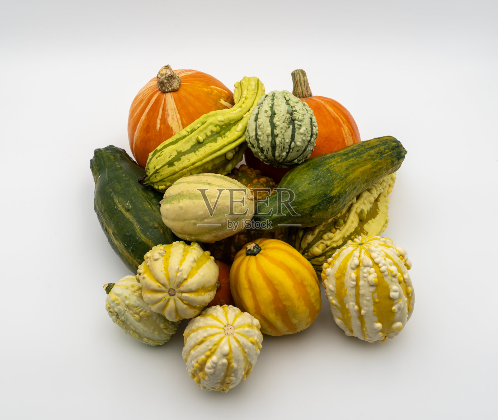 在白色的背景上有许多不同颜色的南瓜。万圣节，收获或秋天的概念。观赏小南瓜照片摄影图片