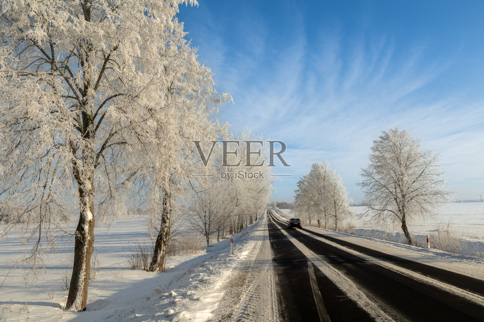 冬天的景观霜冻晴朗，天空蔚蓝，树木覆霜，波兰欧洲照片摄影图片