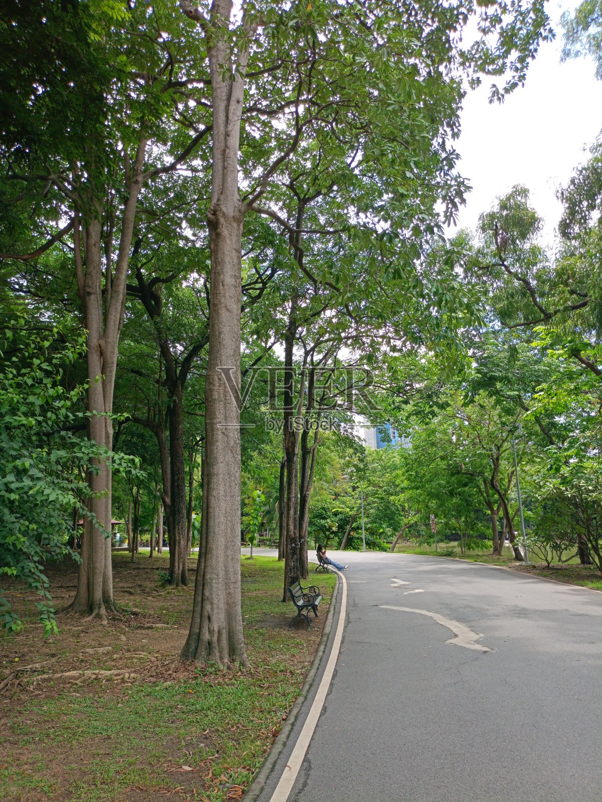 泰国曼谷花园城市的景观和人行道美丽的自然照片摄影图片