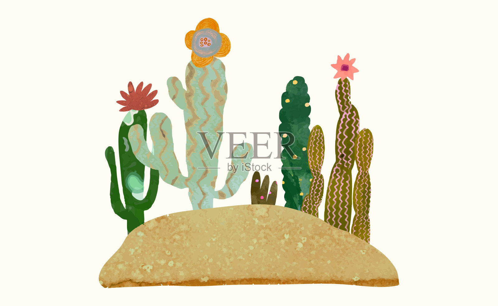 仙人掌插画图片素材