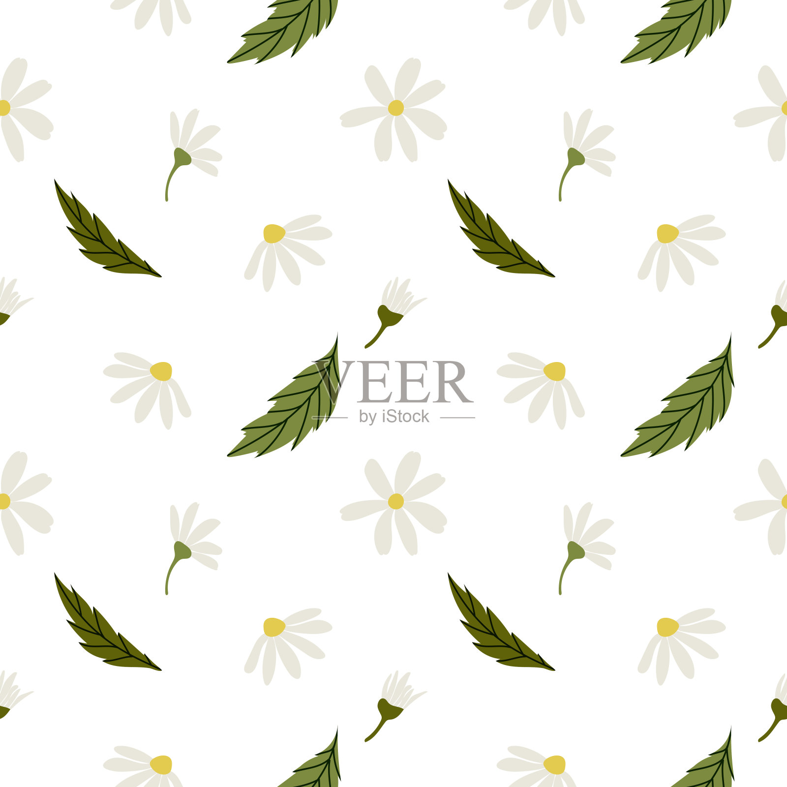 白色的雏菊，洋甘菊。甘菊矢量无缝图案。可爱的圆花头植物自然收藏。装饰元素。平面设计卡片，包装，印刷品，纺织品插画图片素材