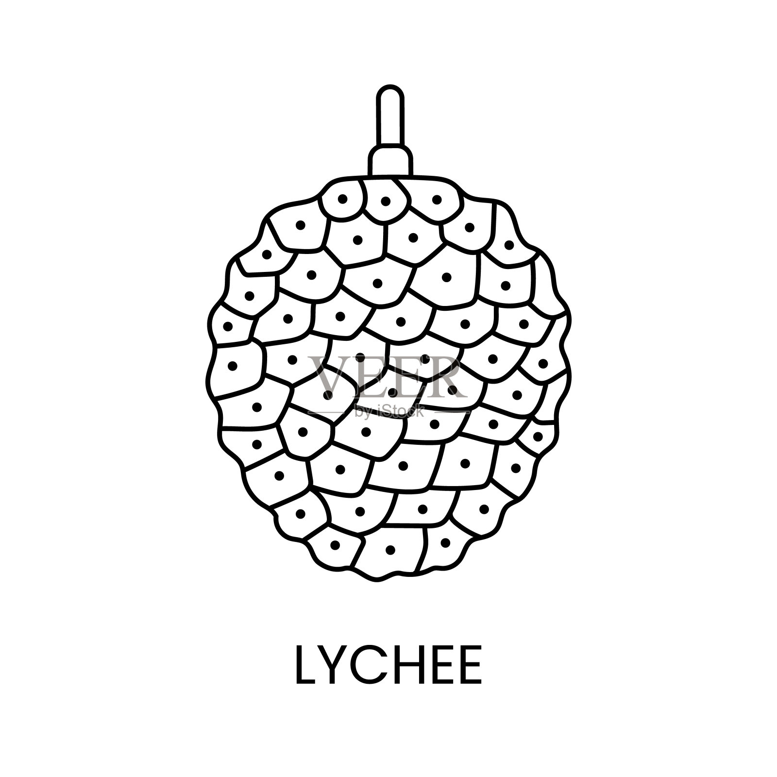 荔枝线图标在矢量，水果插图。插画图片素材