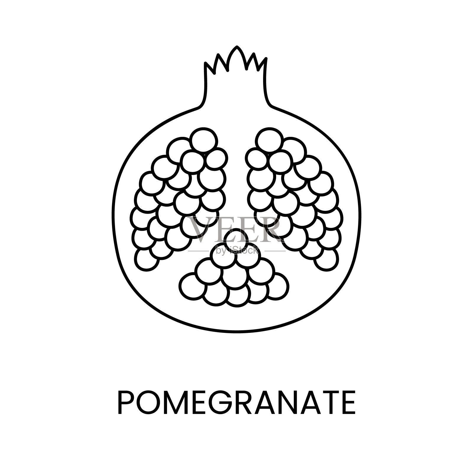 石榴线图标在矢量，水果插图插画图片素材