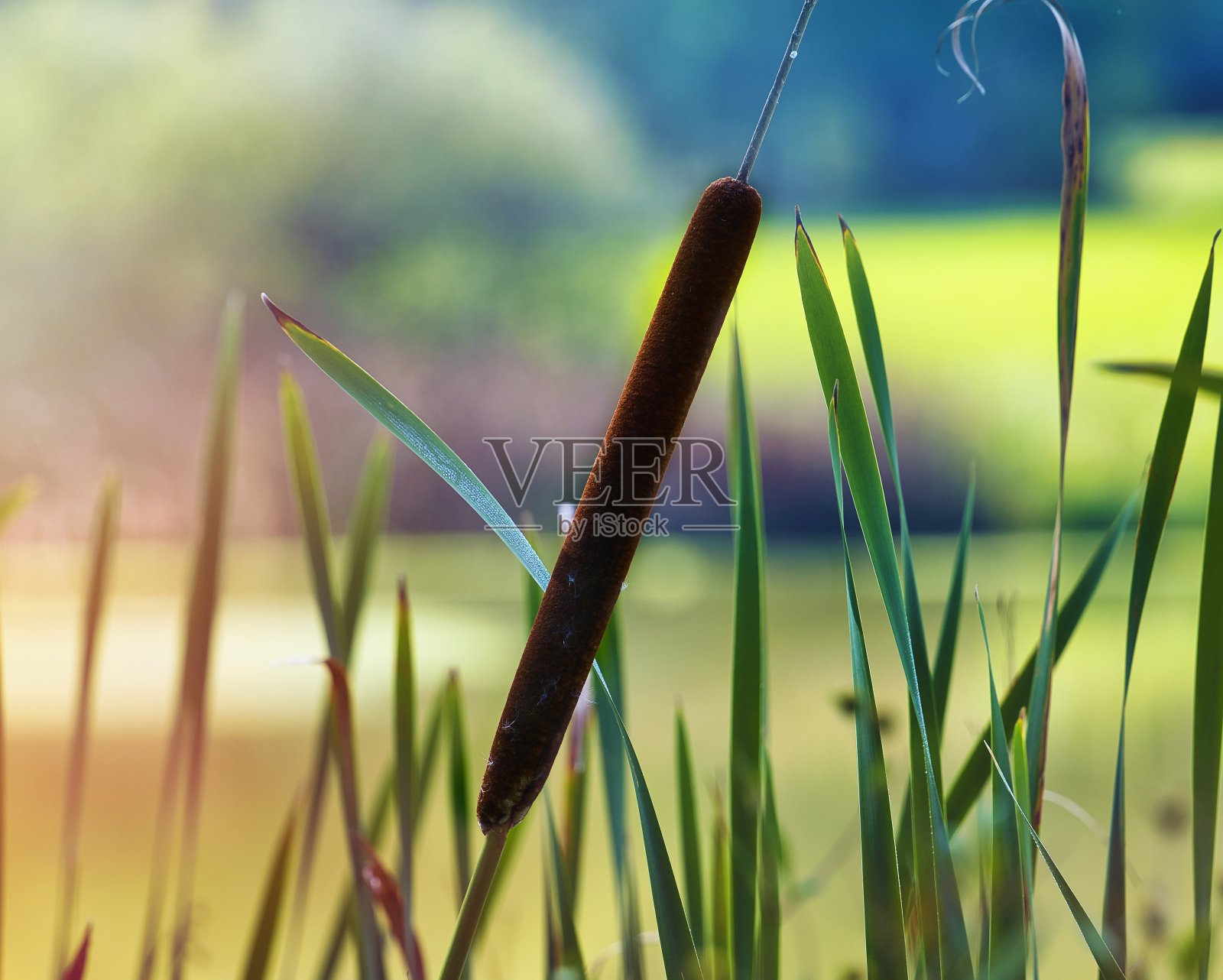 图林根州很美照片摄影图片