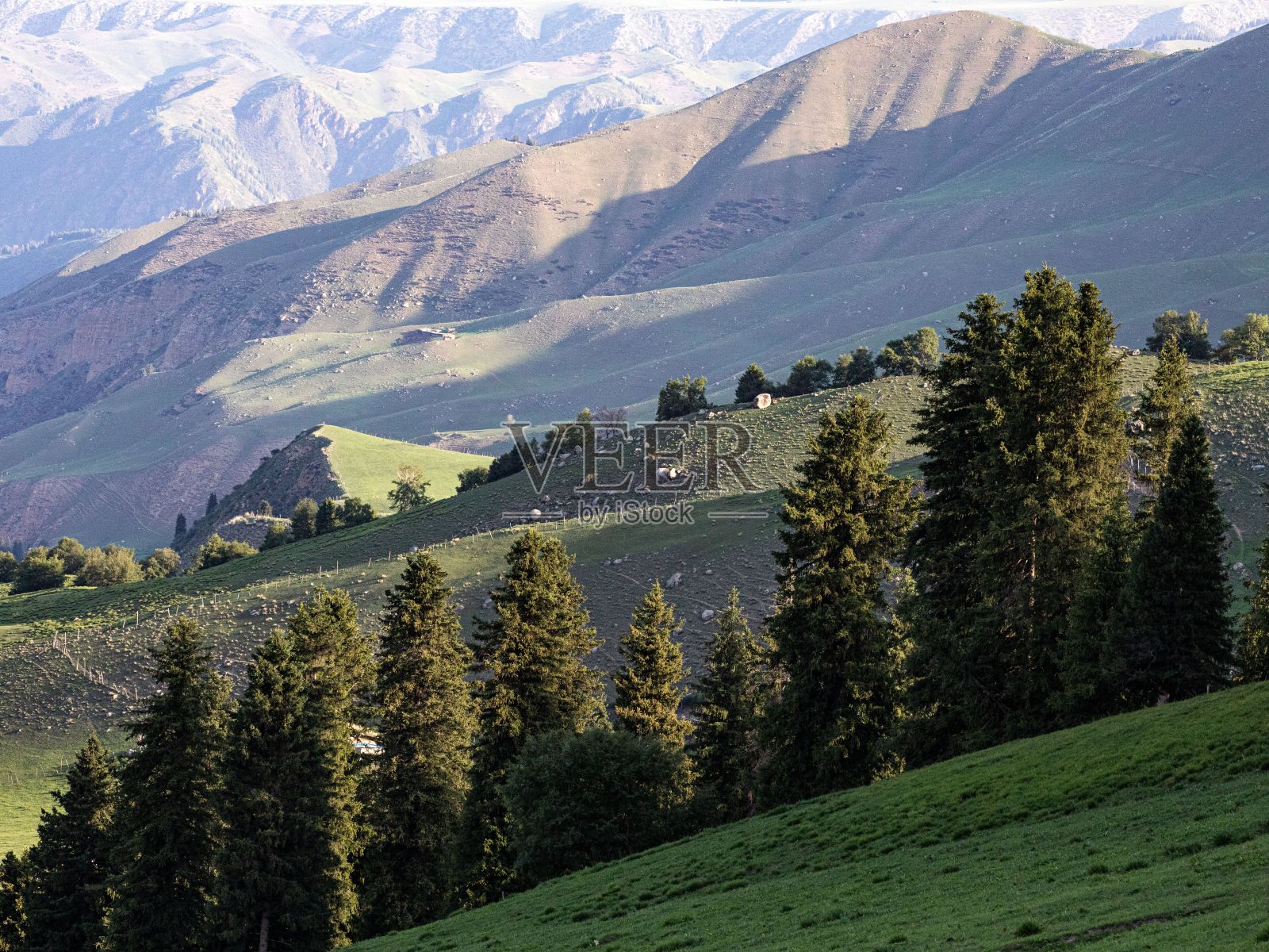 中国新疆地区风景如画的群山环绕的绿色山坡。照片摄影图片