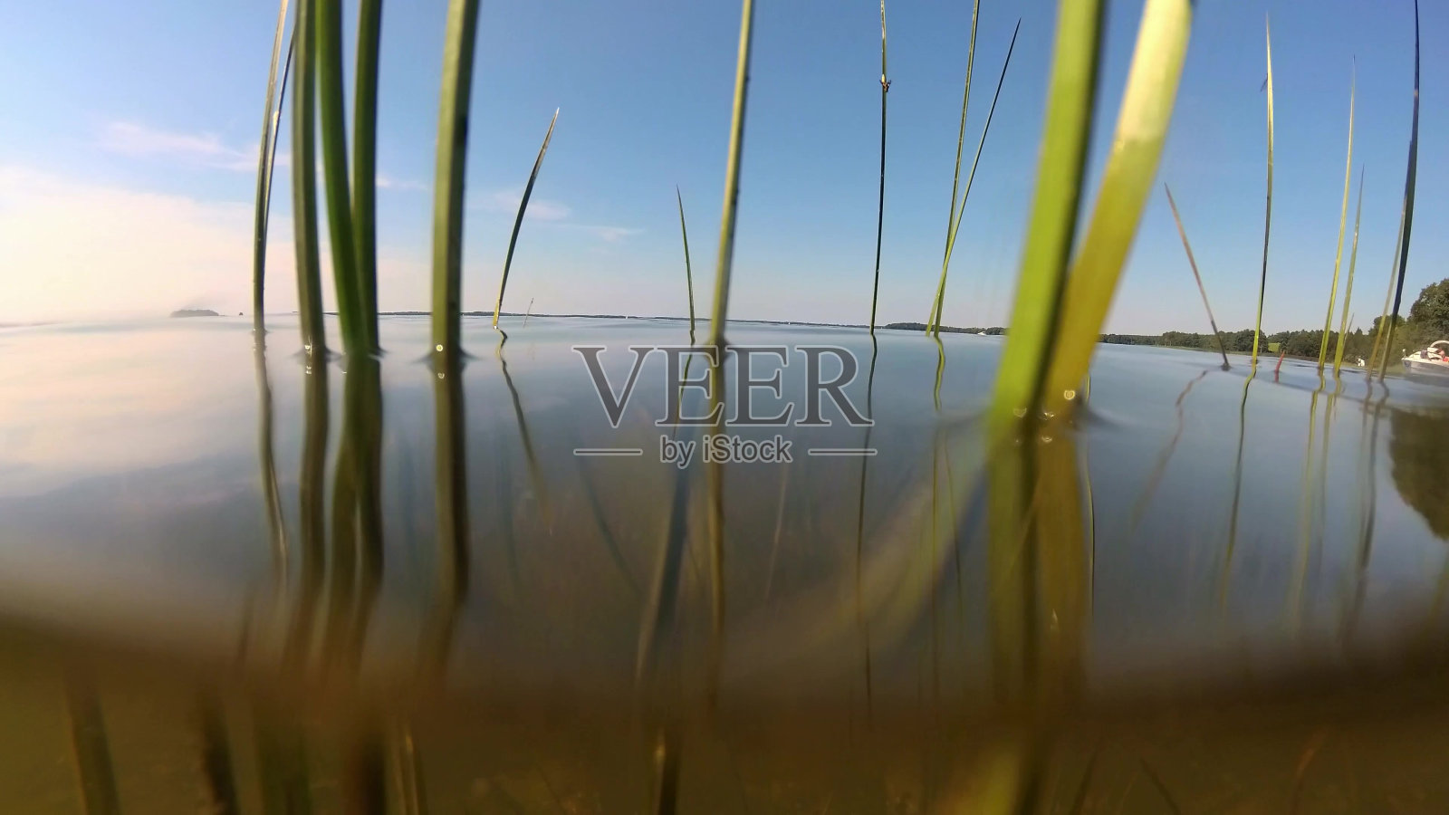 水下景观或湖底沙和海藻照片摄影图片