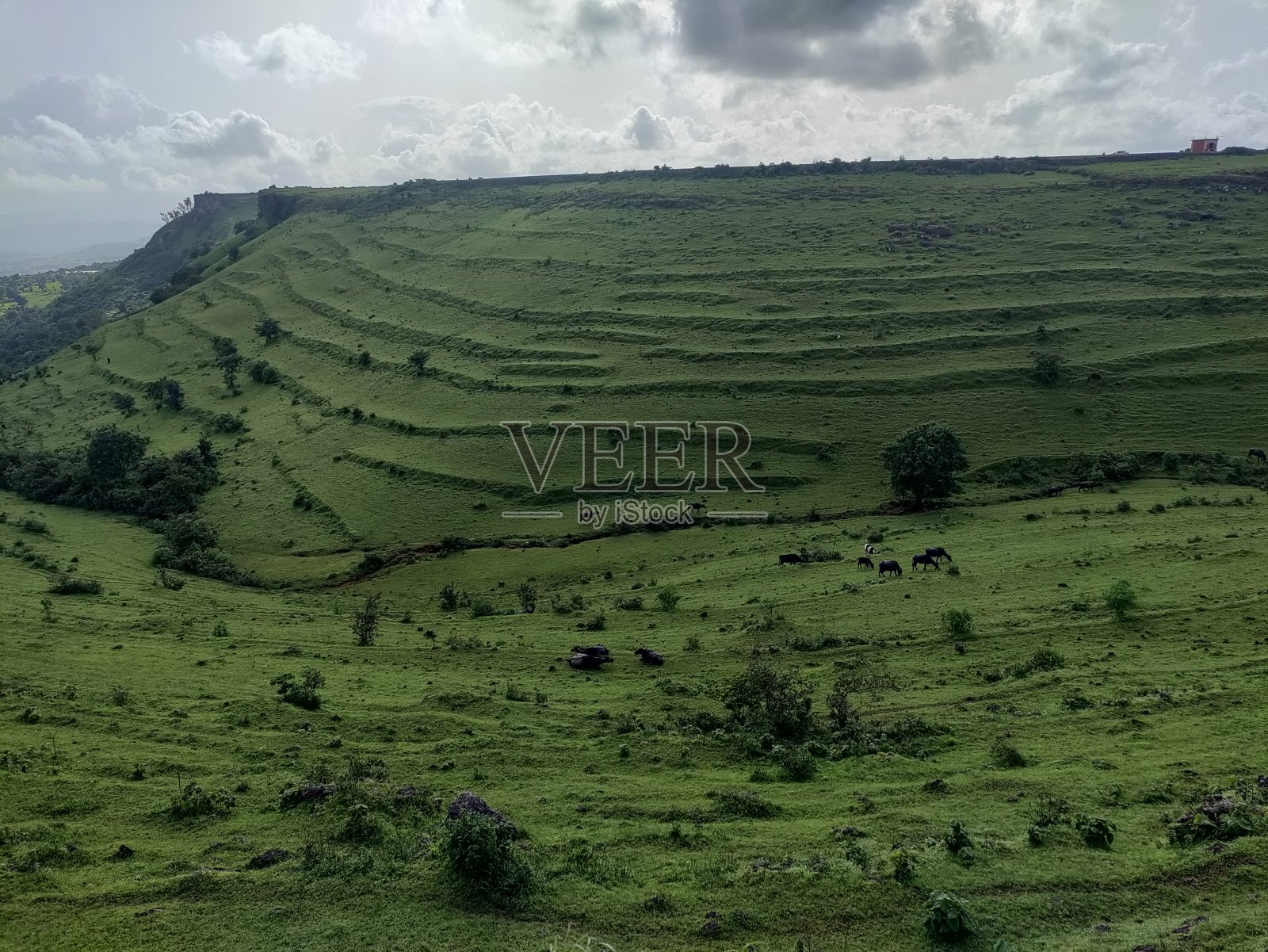 马赛高原，也被称为马赛Pathar或马赛Sadas，是位于印度马哈拉施特拉邦科尔哈布尔市的高原。照片摄影图片