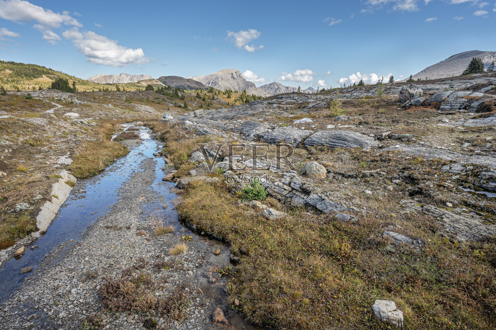 阳光草地的小山溪照片摄影图片