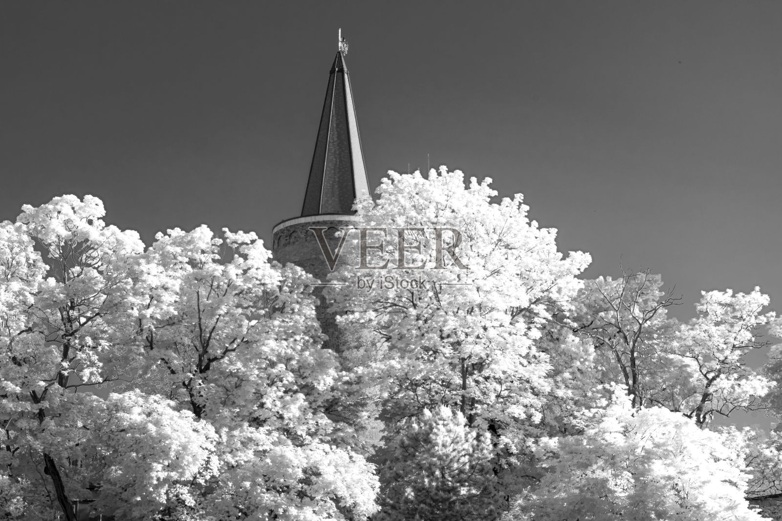 艺术，黑白红外照片的奥波莱老城与历史建筑照片摄影图片
