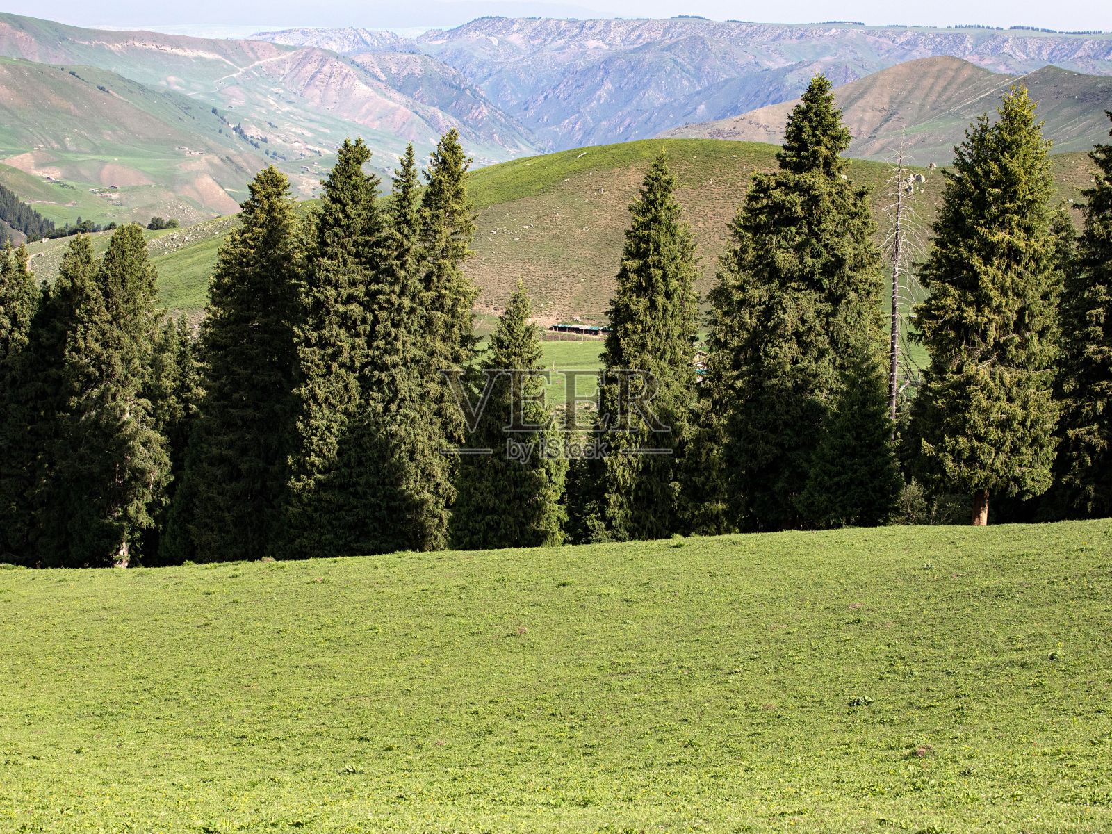 中国新疆地区风景如画的群山环绕的绿色山坡。照片摄影图片