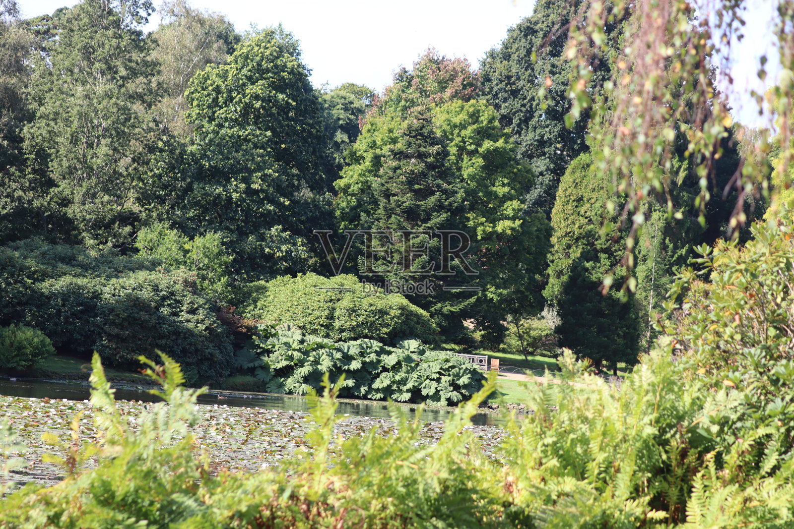 谢菲尔德公园照片摄影图片