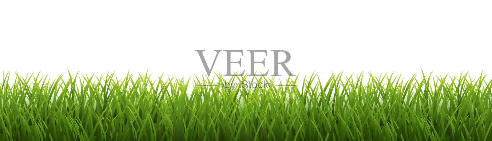 eGreenGrassborderdIsolatedWhiteBackground_10_230910插画图片素材