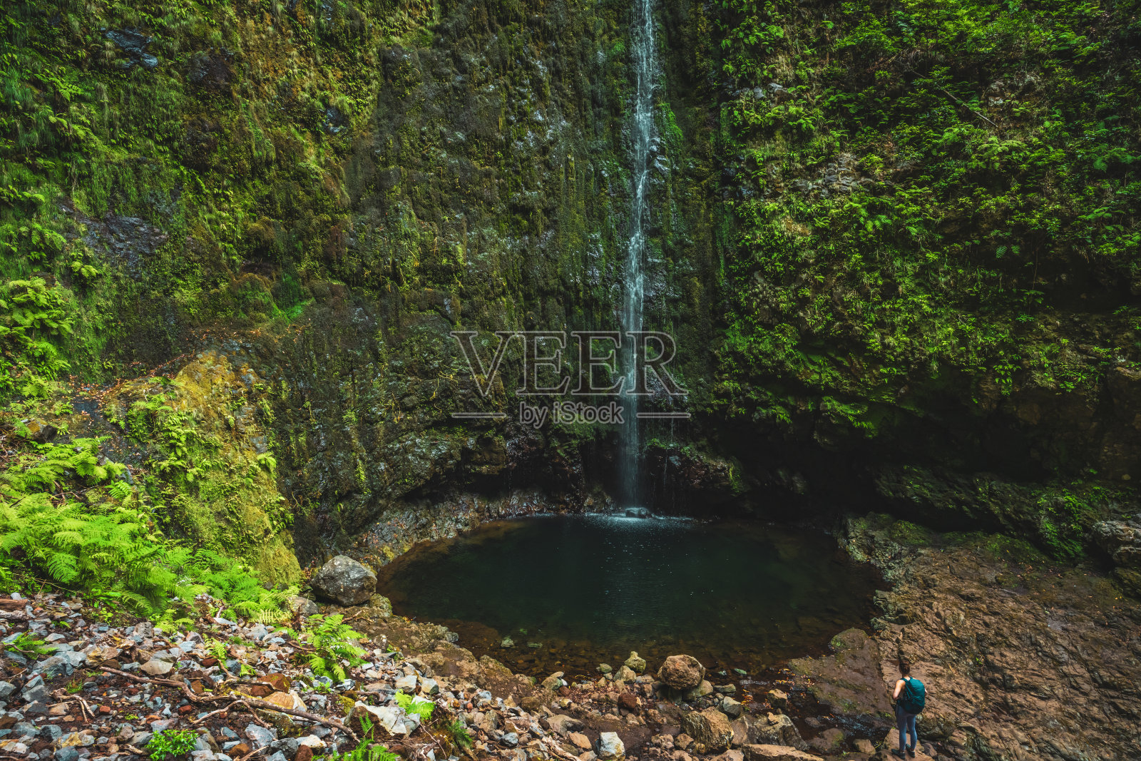 背包客游客喜欢站在马德拉雨林中一个风景如画的瀑布池前，上面长满了植物。欧洲葡萄牙马德拉岛caldeir<e:1> o Verde的勒瓦达照片摄影图片