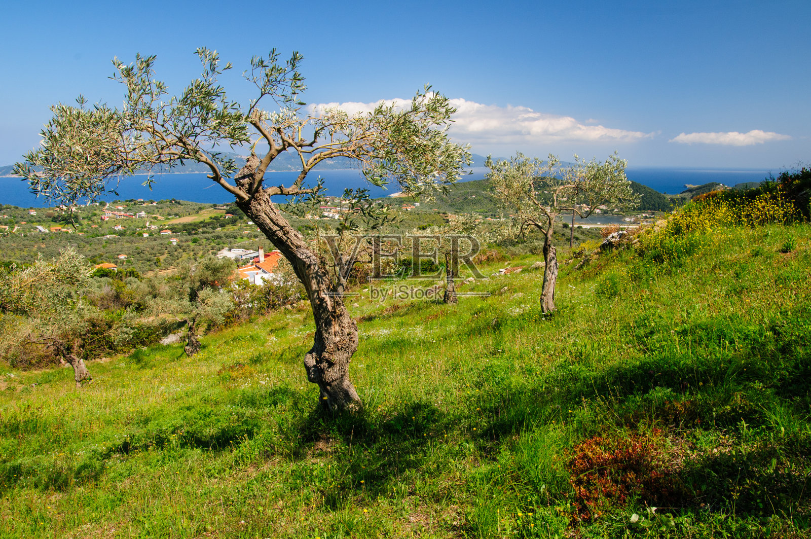 希腊斯基亚索斯岛的风景。照片摄影图片