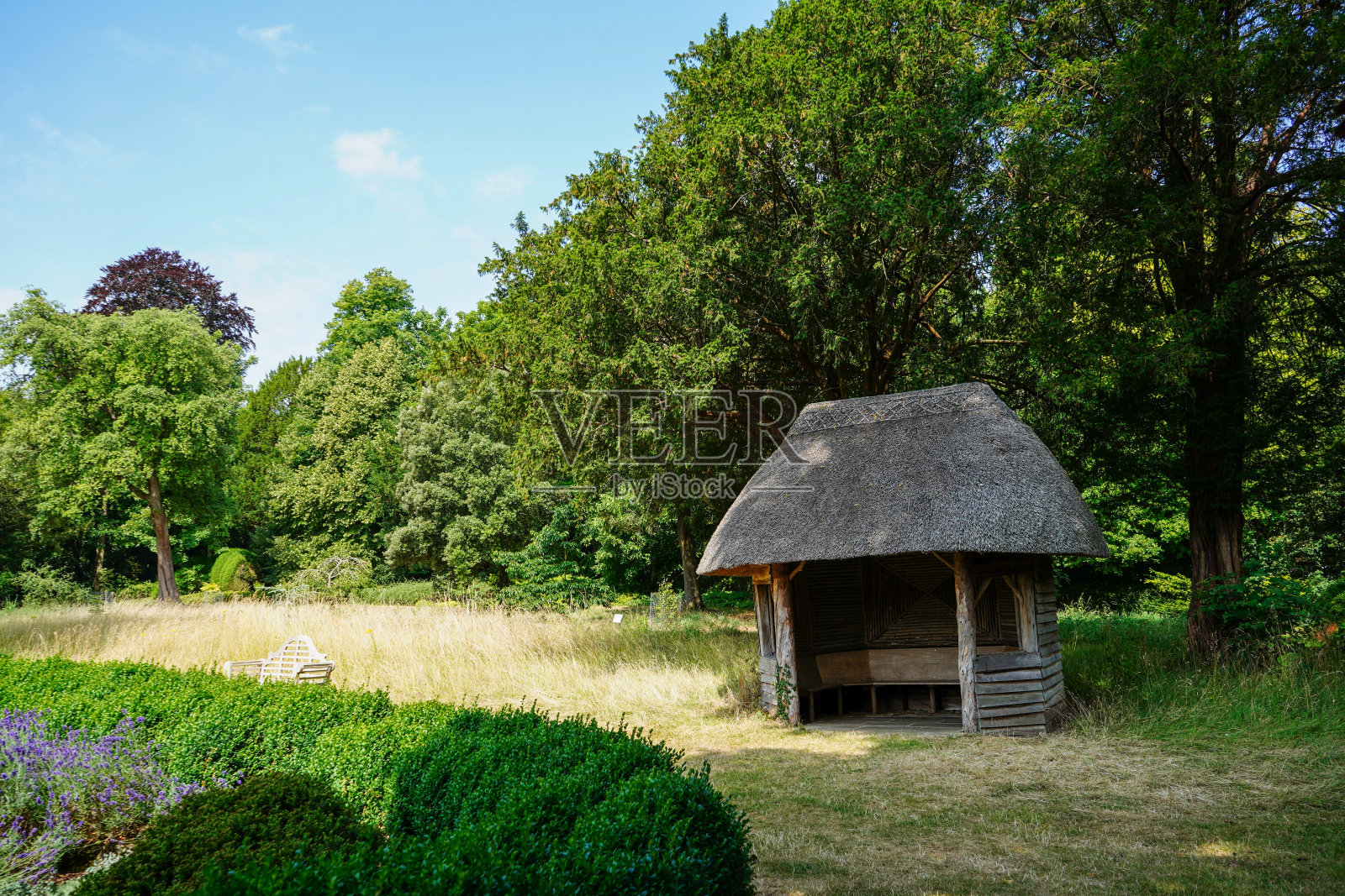 花园中间的小木屋照片摄影图片