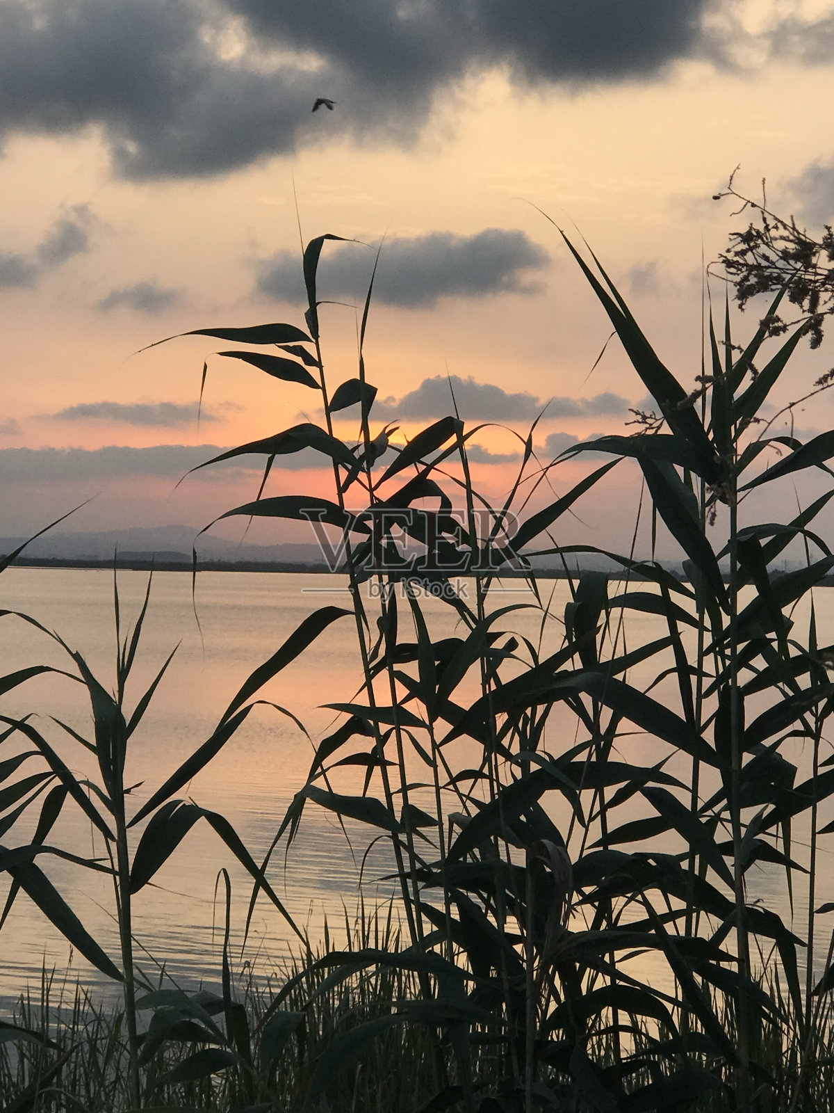 日落照片摄影图片