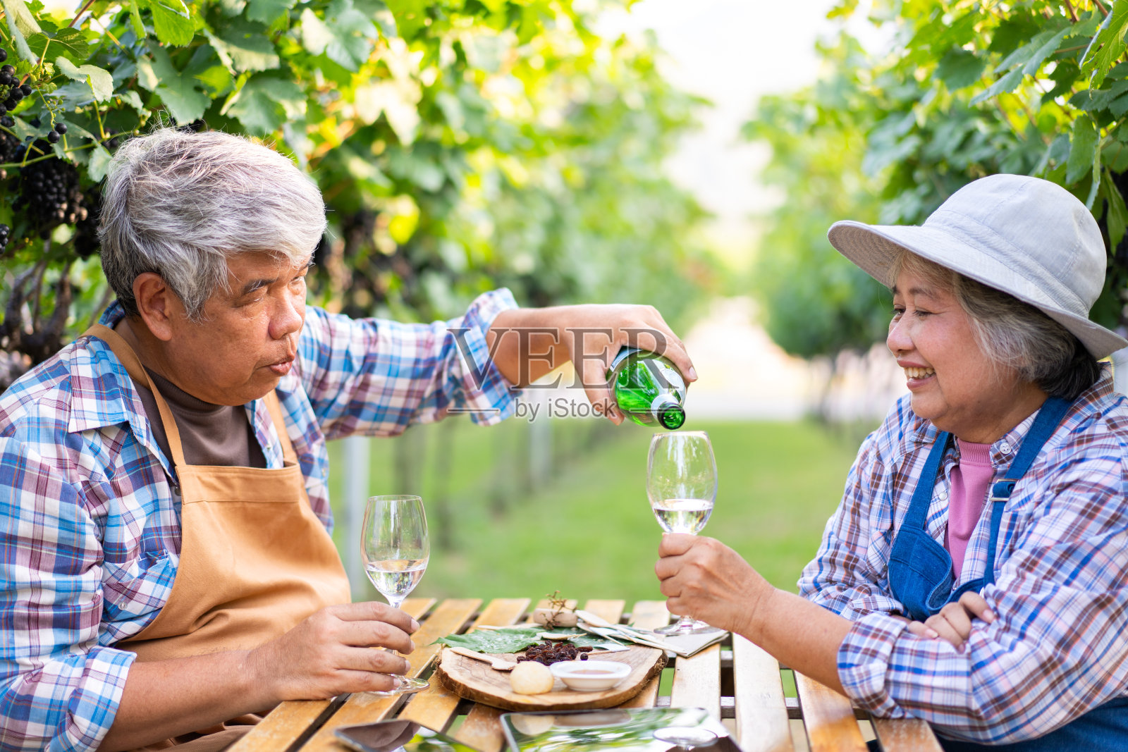 资深酿酒师的画像，手里拿着一杯新酿的白葡萄酒。微笑快乐的老夫妇在自己的葡萄园一起野餐。农业理念，小企业，退休照片摄影图片