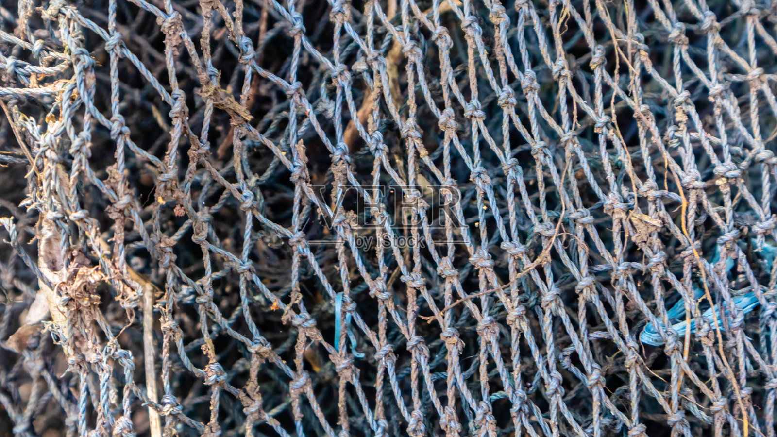 鱼网格纹理作为背景照片摄影图片