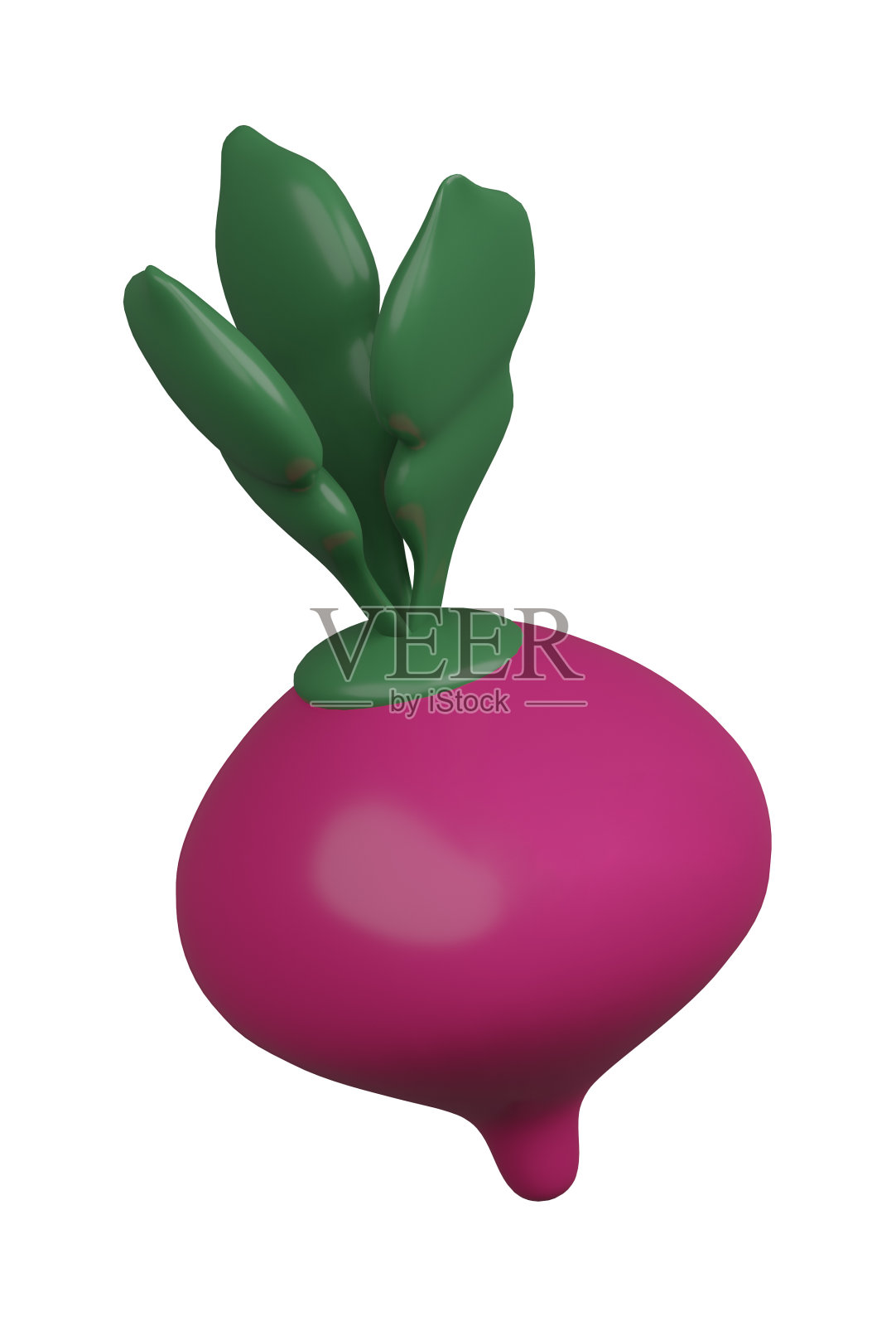3D插图渲染蔬菜萝卜紫丁香与绿叶在白色背景照片摄影图片