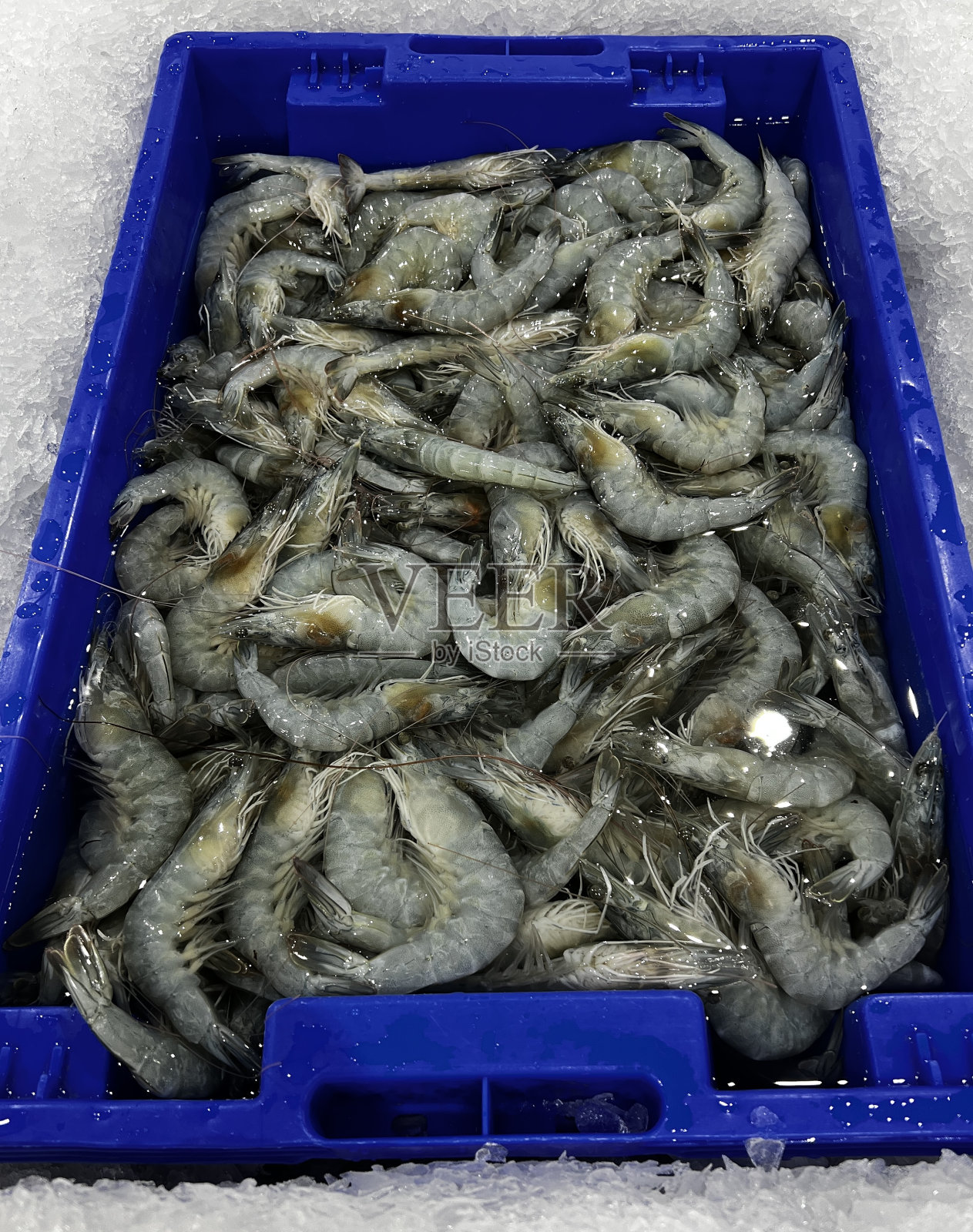 海鲜市场大虾照片摄影图片