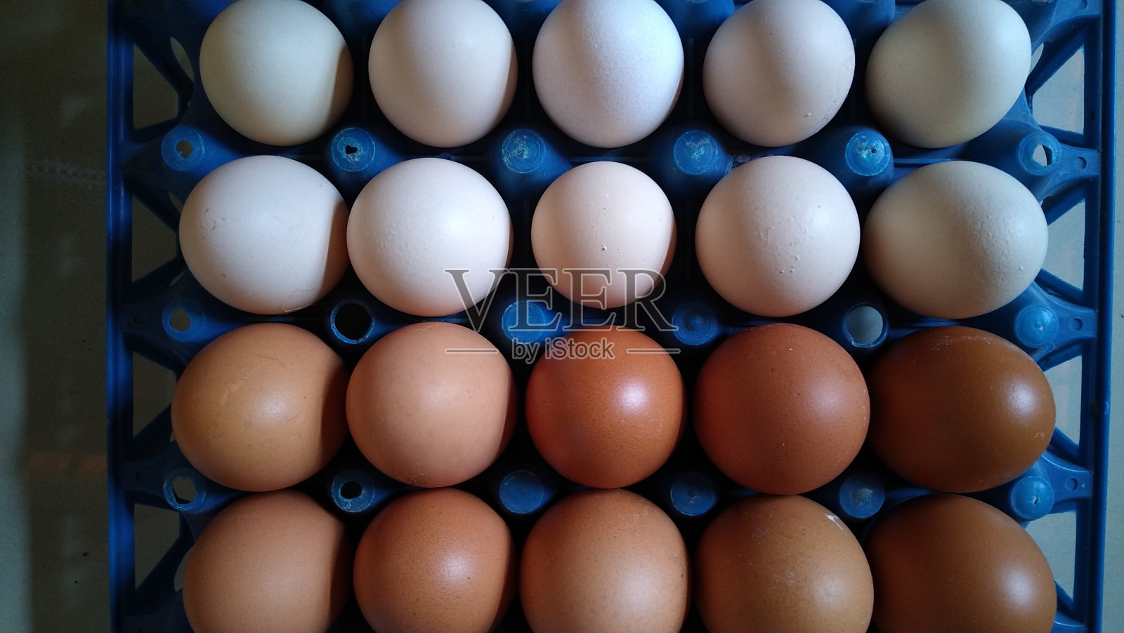 鸡蛋照片摄影图片