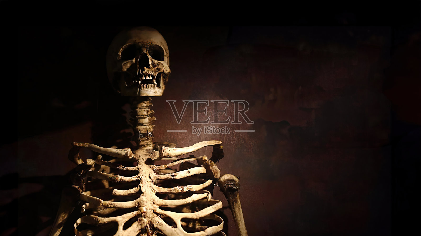 灰暗的单色背景上的骷髅人照片摄影图片