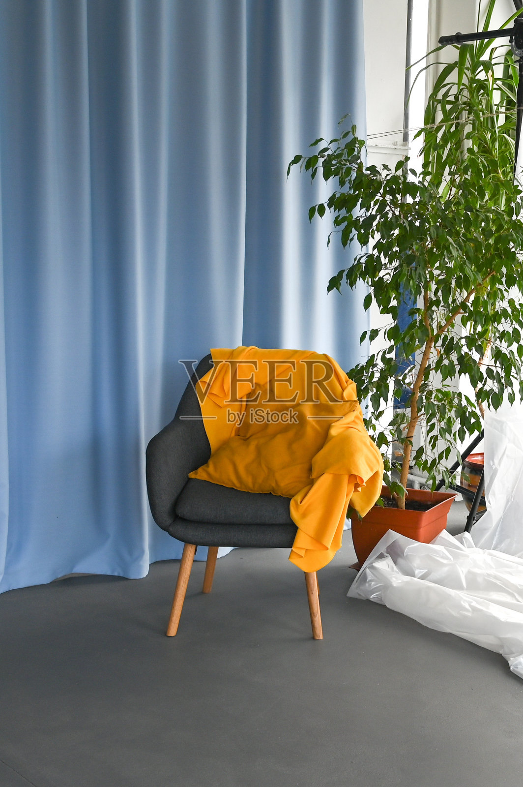 客厅里的黄色格子和绿色植物扶手椅。房间内部照片摄影图片