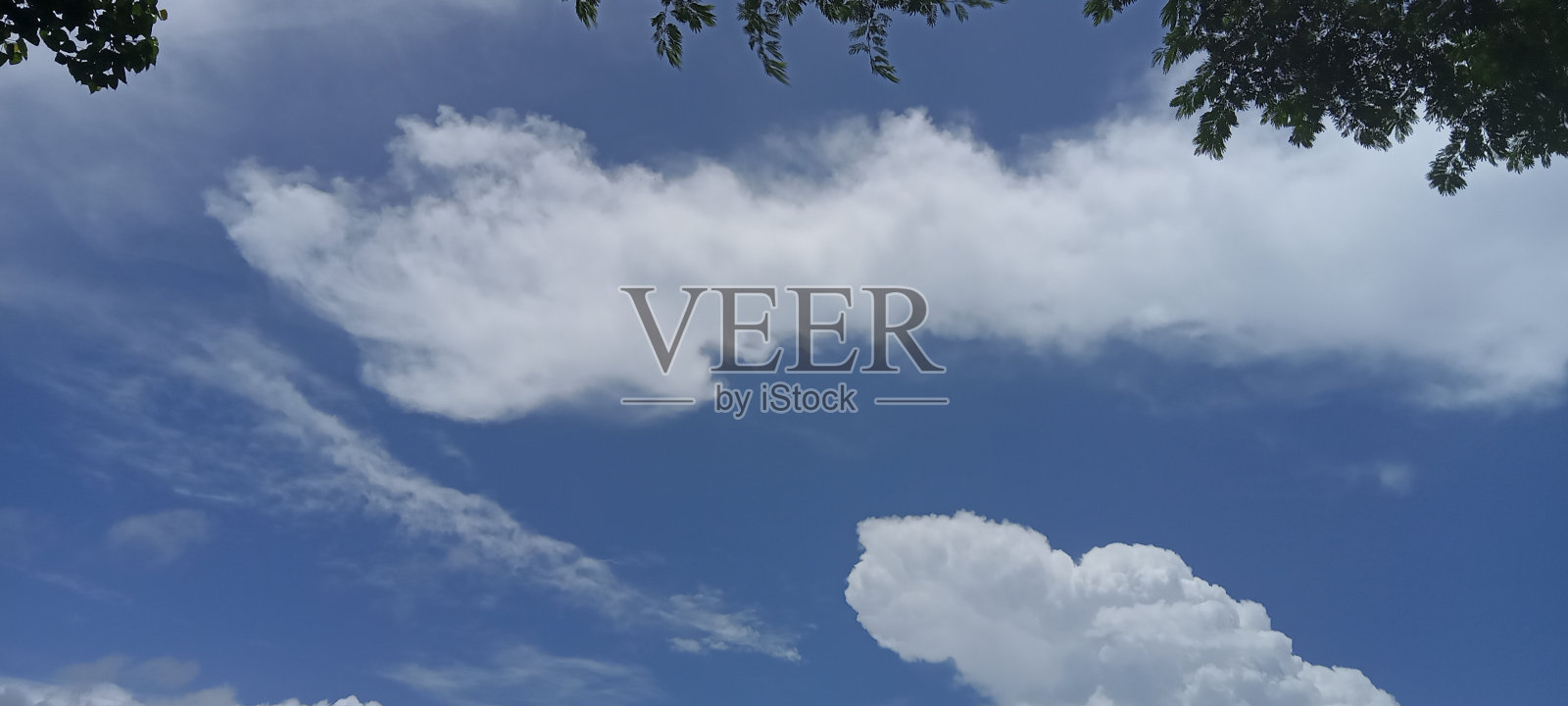 天空不过是一张光明的画布。照片摄影图片