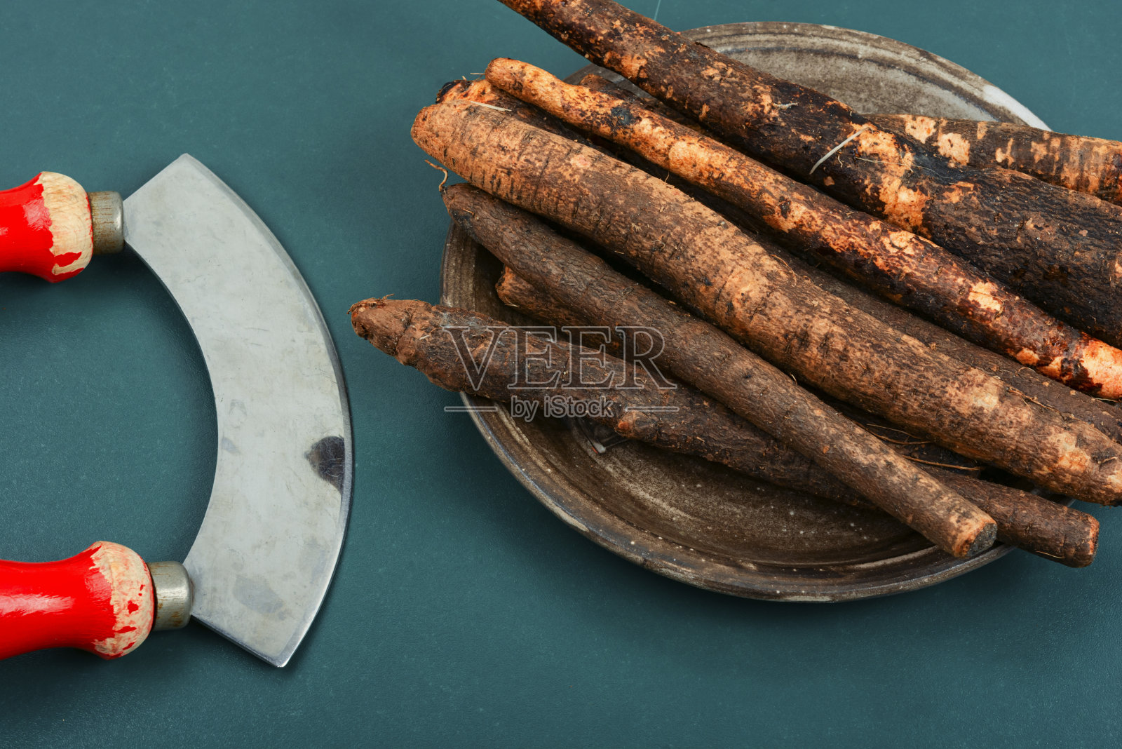 缬草在民间医学，缬草的根。照片摄影图片