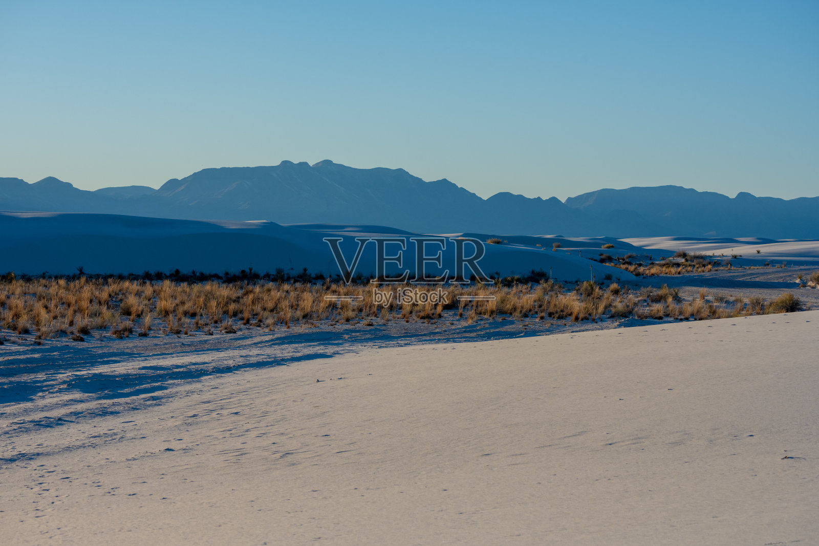 草生长在沙丘之间的山谷里照片摄影图片