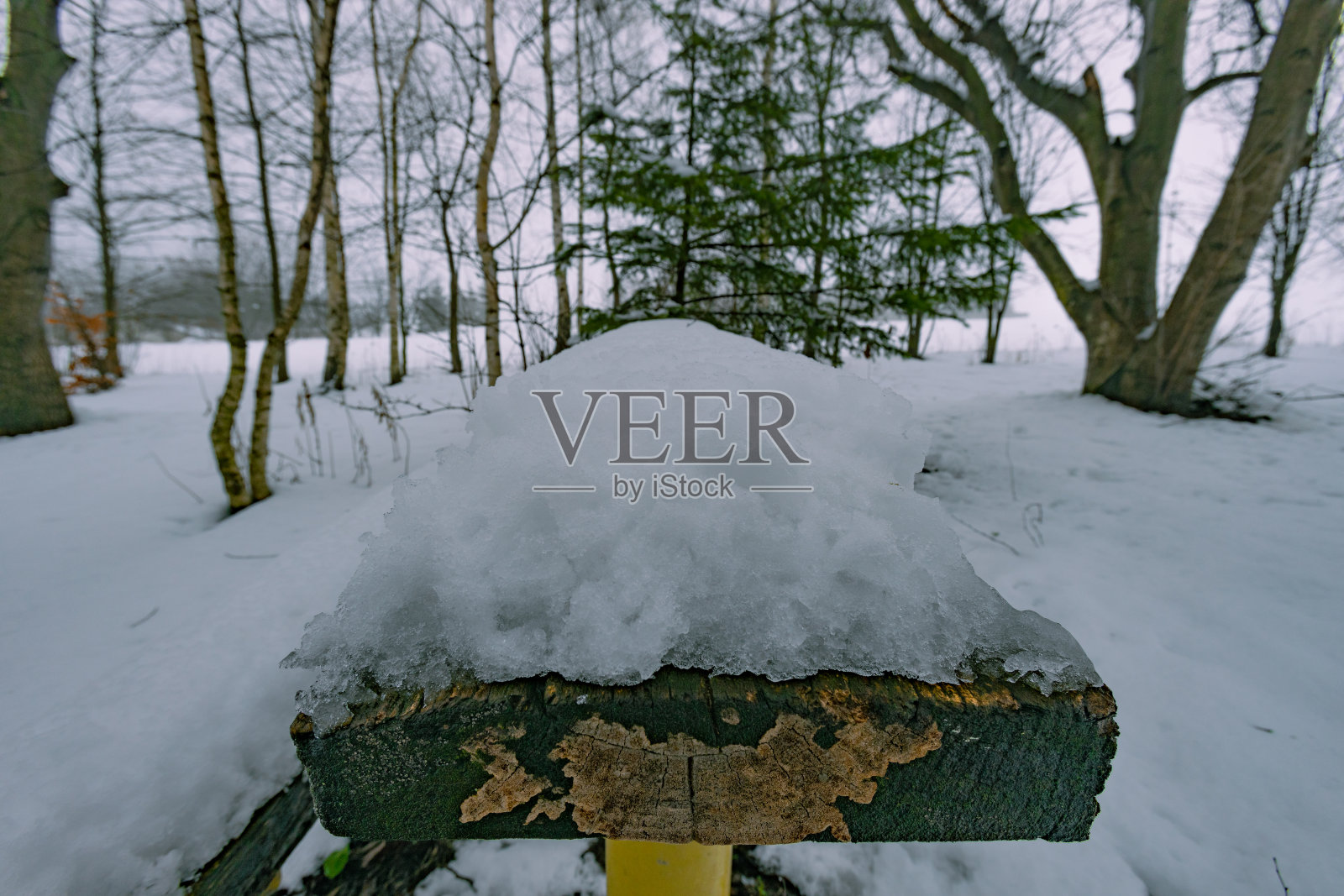 波兰乡村的冬天，美丽的波兰风景，波兰照片摄影图片