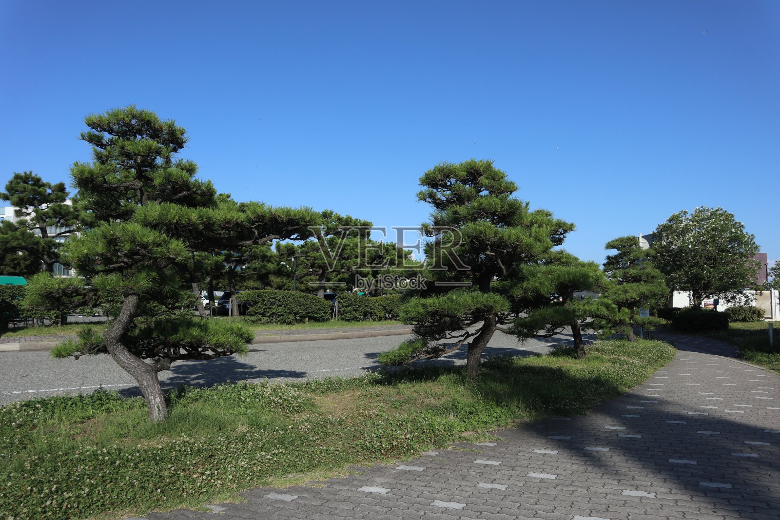 Maiko海滩上的海浪，晴朗的天空，海洋，海滩，树木，宁静的景观，宁静的海滩之美。照片摄影图片