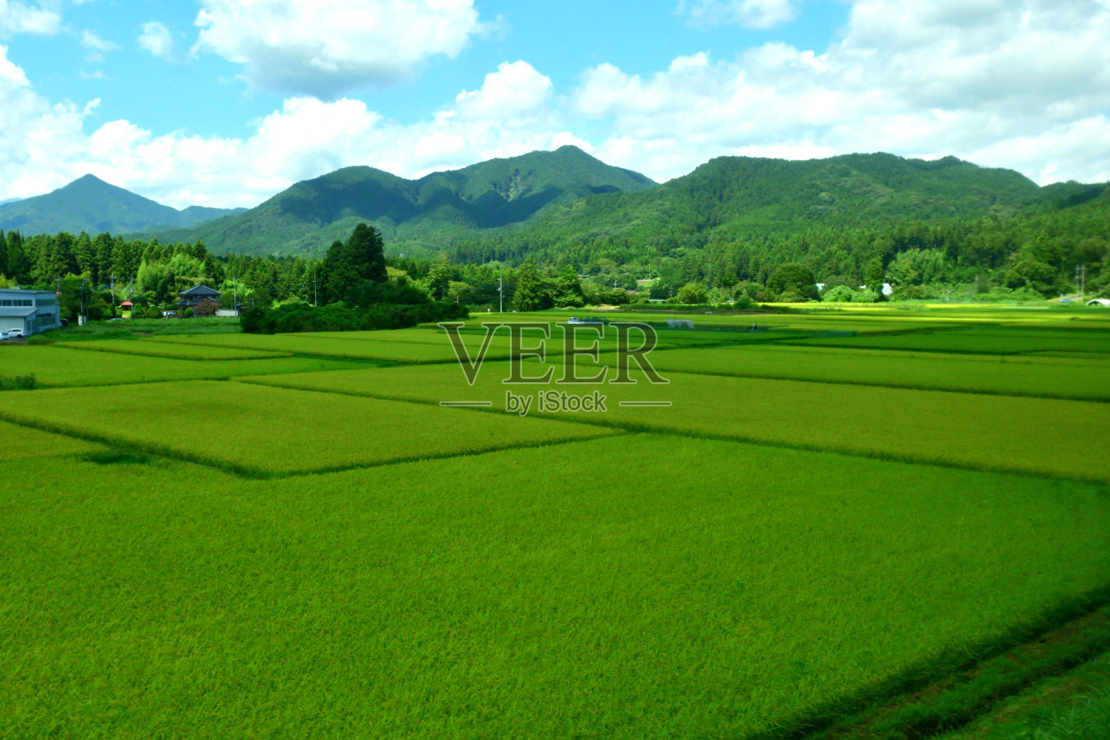 日本东部乡村景观:东武铁路观景照片摄影图片
