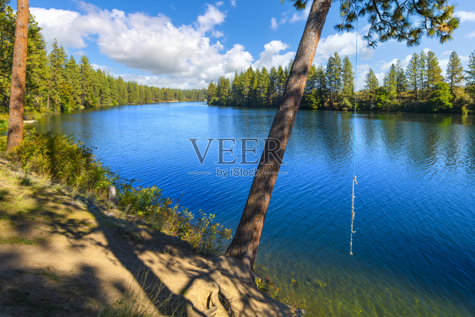 夏天，在美国华盛顿州斯波坎市的公共博尔德海滩和百年小径上，沿着斯波坎河河岸的一棵树上悬挂着一个绳索秋千。照片摄影图片
