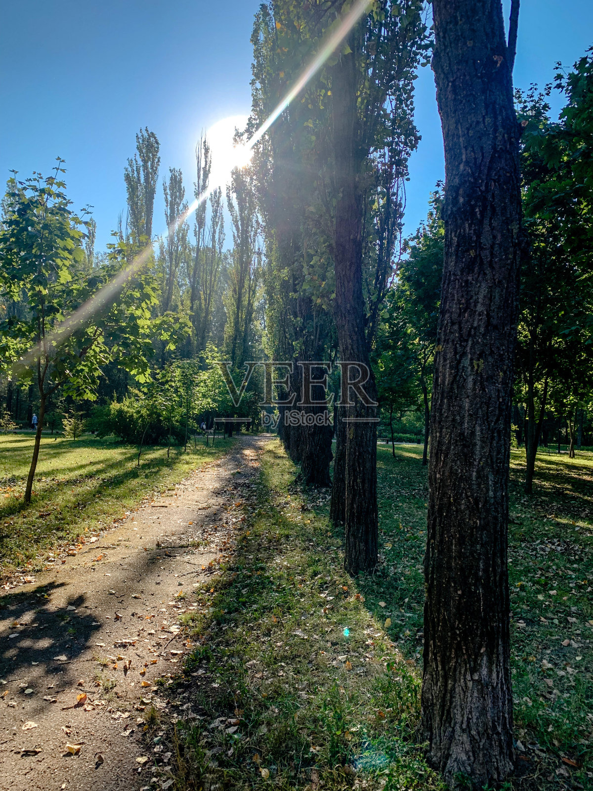 眼睛的开始。照片摄影图片