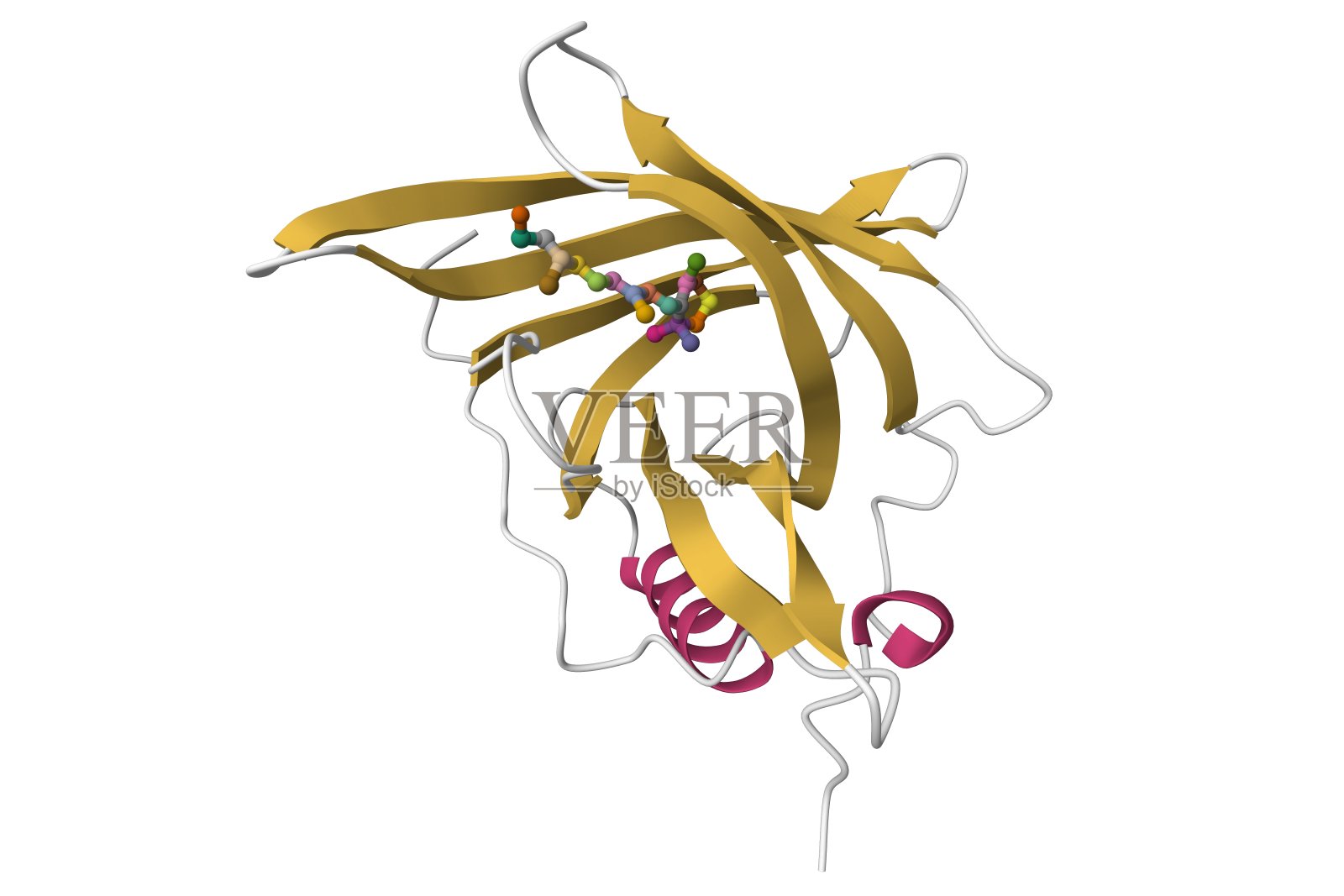 晶体结构的三角形式的人血浆视黄醇结合蛋白与视黄醇结合照片摄影图片