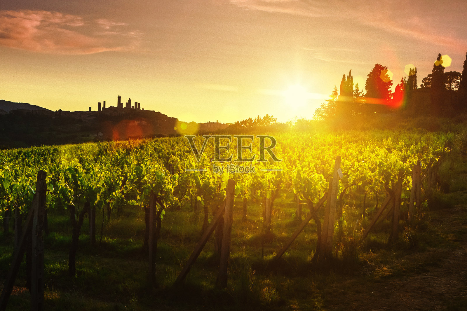 夕阳下的托斯卡纳葡萄园和远处的圣吉米尼亚诺照片摄影图片