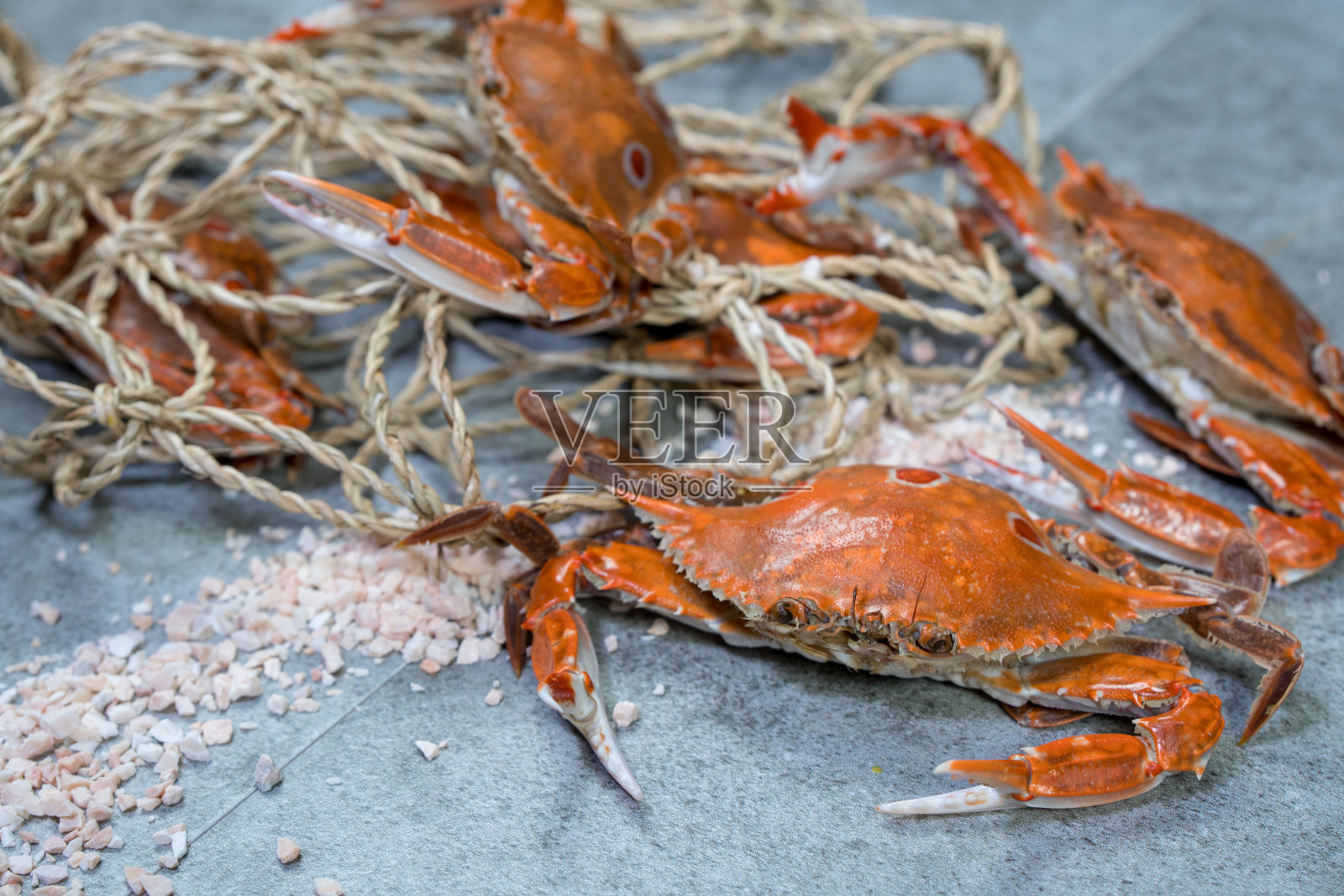 老桌香辣蘸酱蒸蟹纹理背景，有青游蟹、花蟹、青蟹照片摄影图片