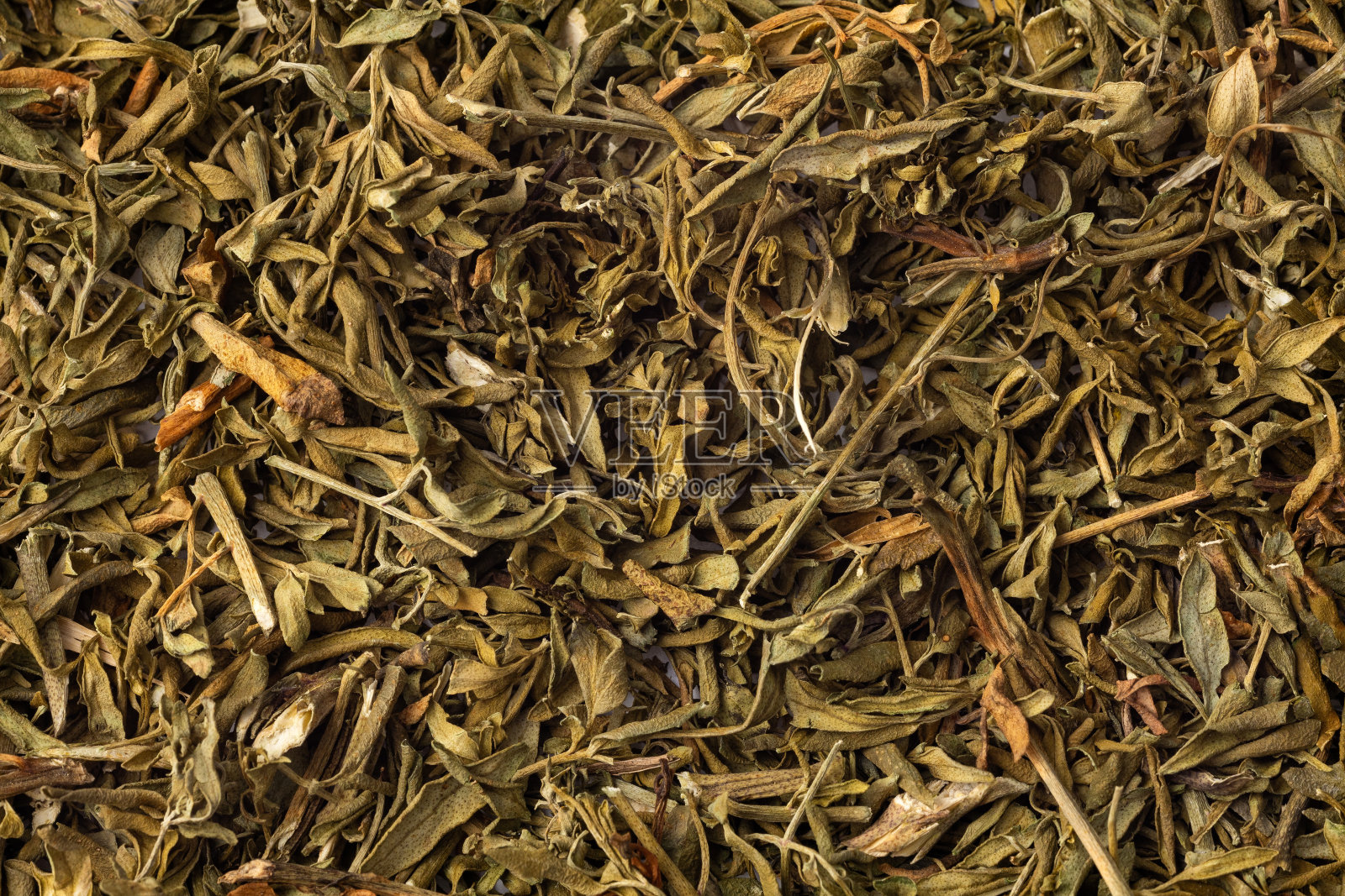 芸香:芸香植物的干叶子照片摄影图片